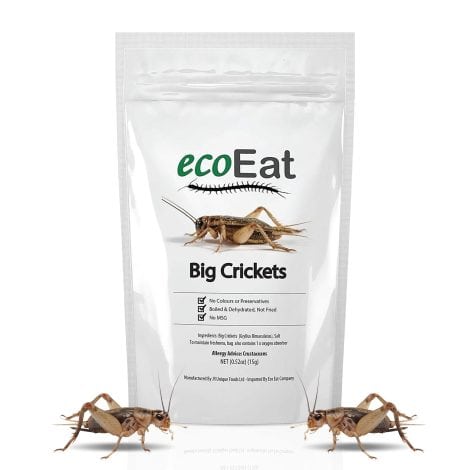 ecoEat Edible Insects: Crunchy Black Crickets, Perfect for Snacking – A Unique Food Gift!