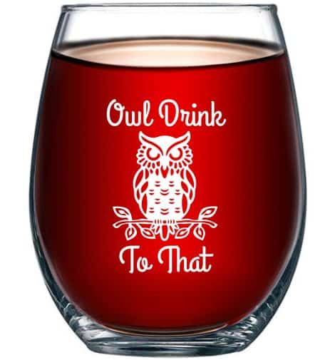 Cheers with this Owl-themed 15oz stemless wine glass for a perfect birthday or housewarming gift!