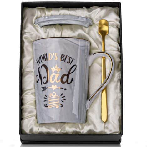 World’s Best Dad Mug – Funny Christmas/Birthday Gifts for Dad from Daughter/Son, 14oz Grey Ceramic Cup