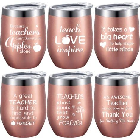 6-Piece Teacher Thank You Gift Set: Coffee Mug and Wine Tumbler with Lids and Straws (Simple Rose Gold)